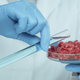 Illustration for article titled Even a quarantine cannot stop food innovation